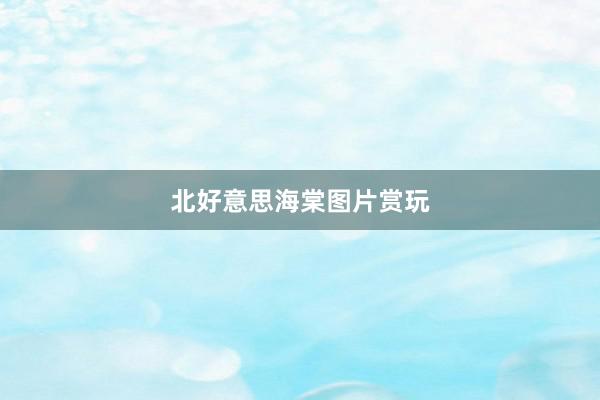北好意思海棠图片赏玩