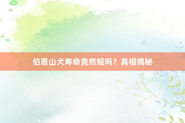 伯恩山犬寿命竟然短吗?真相揭秘