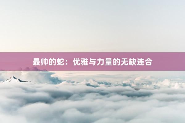 最帅的蛇：优雅与力量的无缺连合